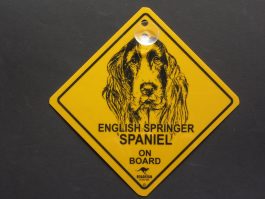 English Springer Spaniel on Board Swinger Sign