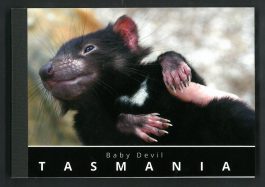 Postcard Pad – Baby Devil In Hand